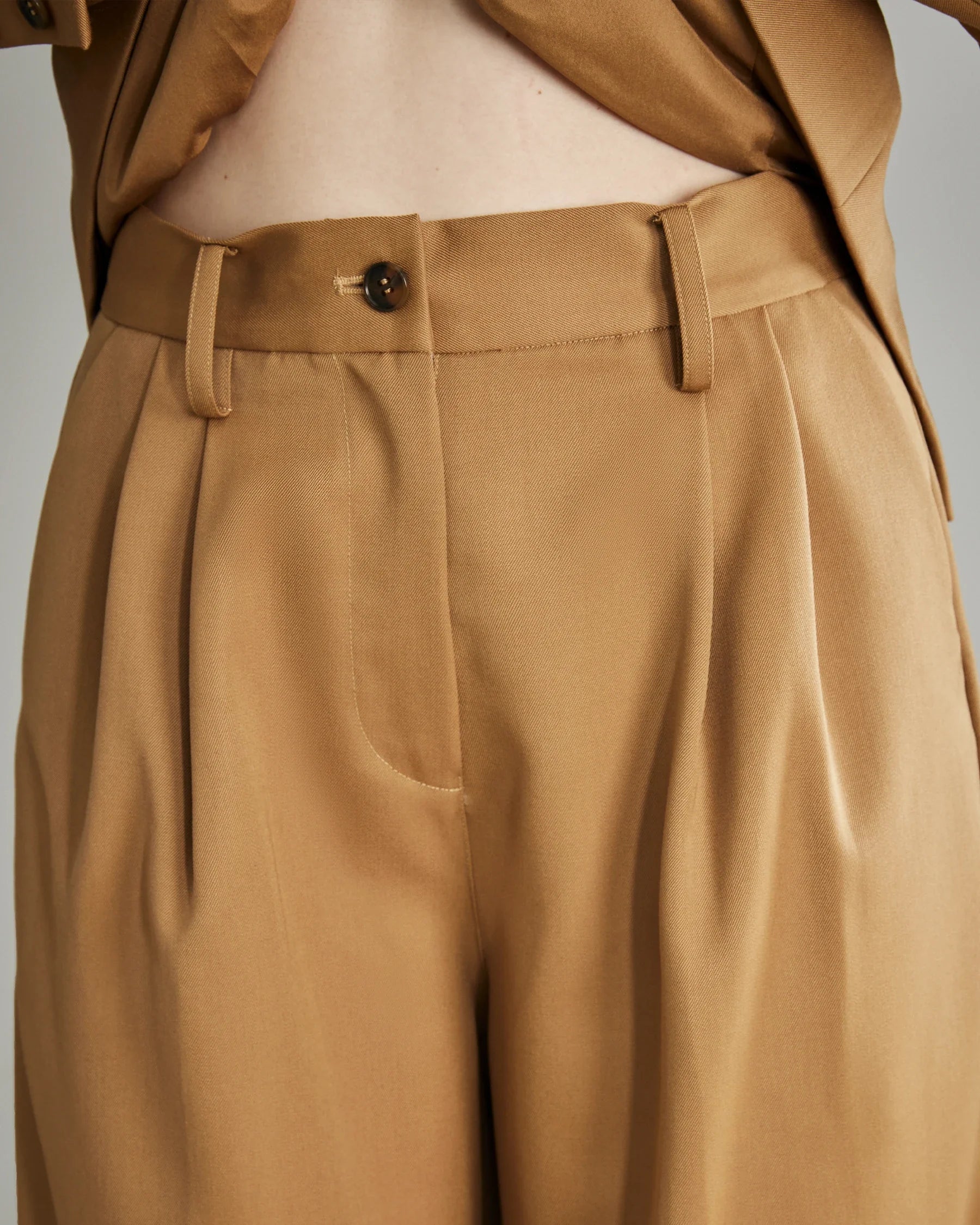 Women's Pleated Wool Wide Leg Pants, Camel