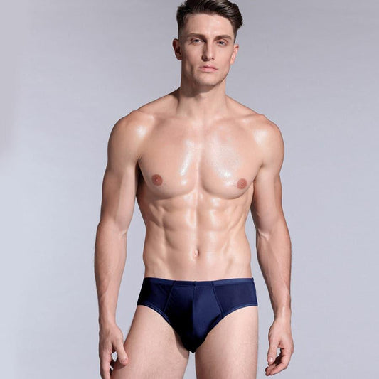 Men's Triangle Silk Boxer Briefs Underwear - DAISYSILK UK