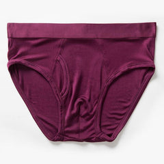 Silk Briefs for Men