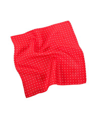 Silk Burgundy Paisley Pocket Square
