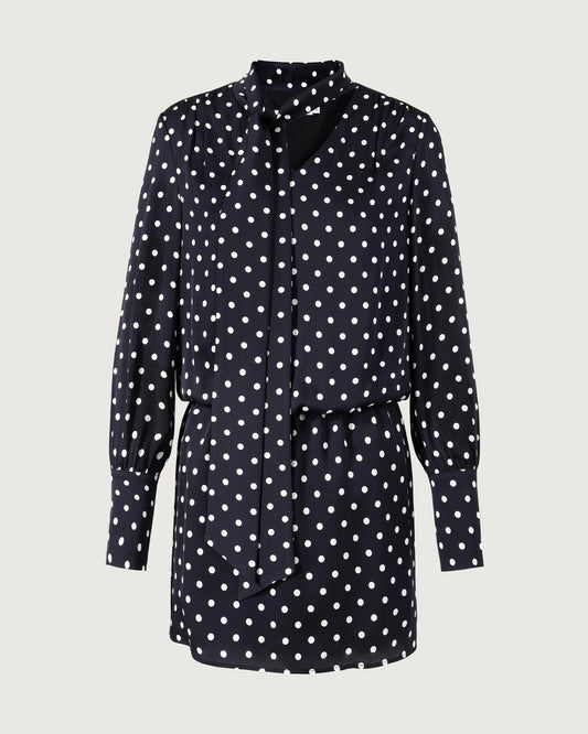 19 Momme Silk Polka Dot Bodycon Mini Dress