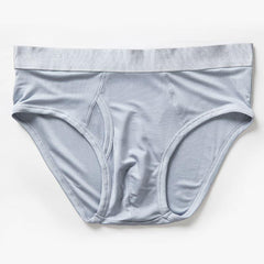 Silk Briefs for Men